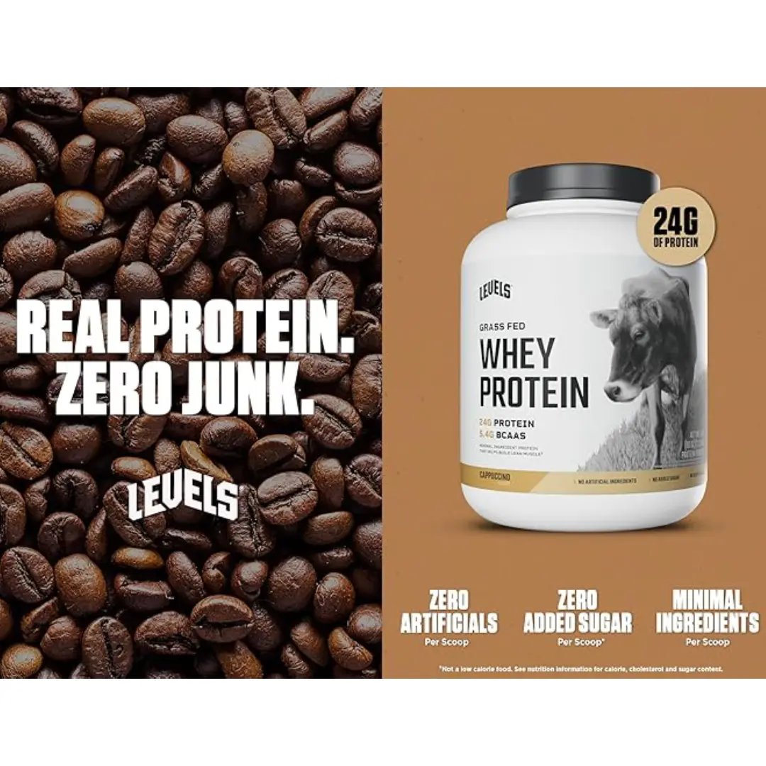 LEVELS Whey Proteins 2