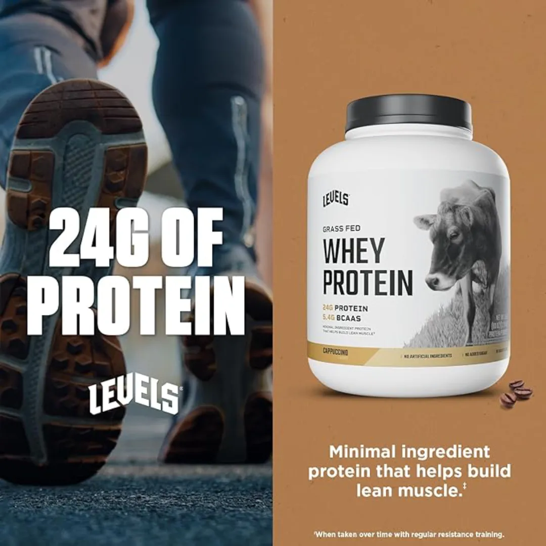 LEVELS Whey Proteins - 4